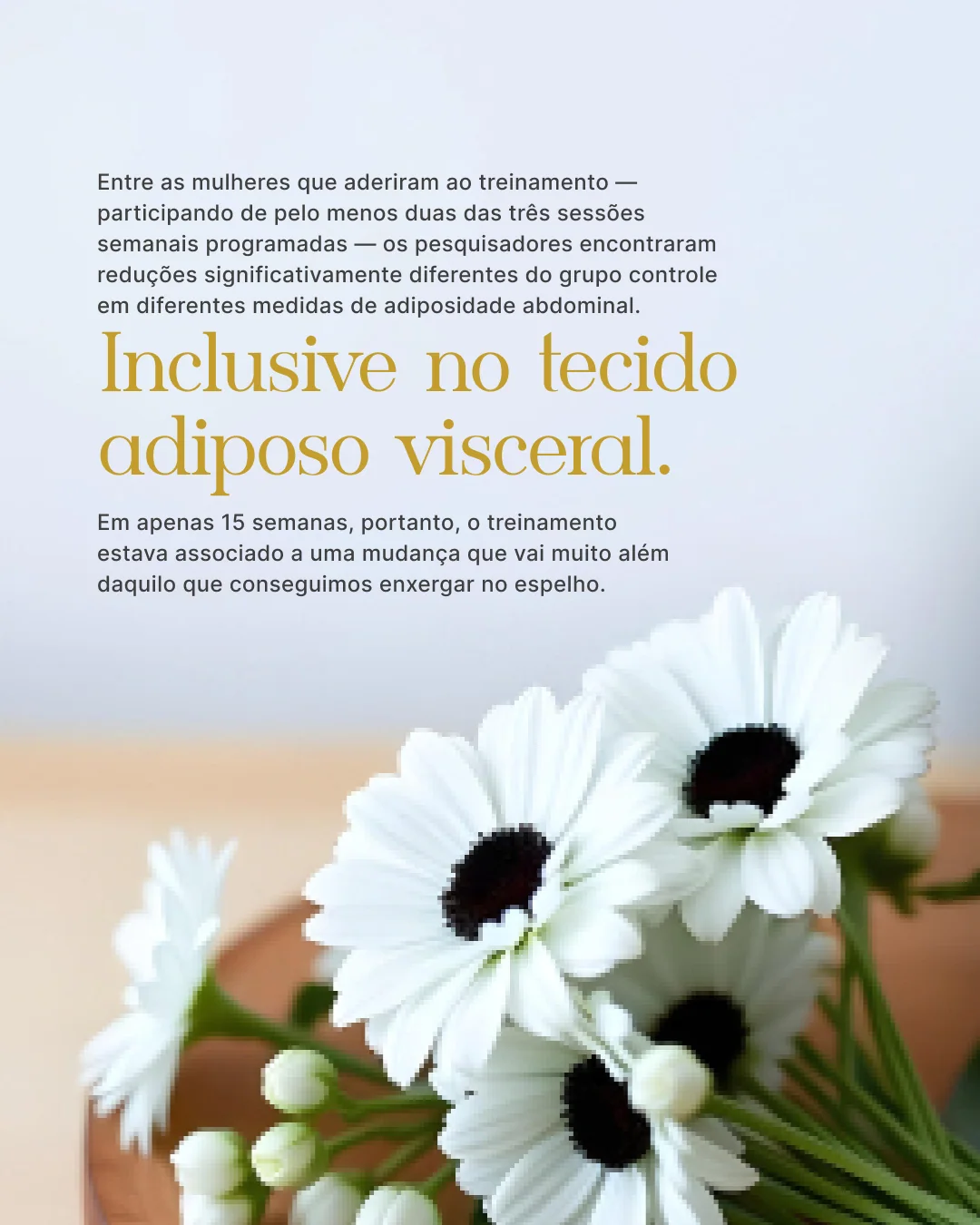 Saúde da mulher e menopausa — lâmina 5 de 10